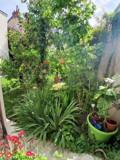 Appart Rez De Jardin Dijon Zewnętrze zdjęcie